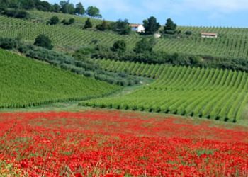 Nuova Convenzione Tessera Turit con l’Agriturismo Fontechiara (MC)