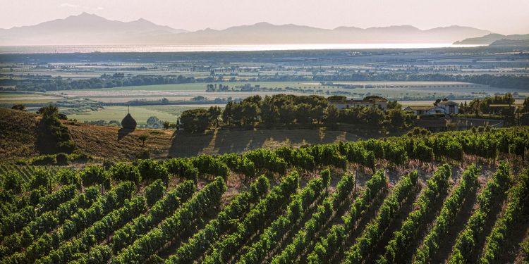 A Livorno il 13 e 14 novembre la prima edizione di Wine Destinations Italia