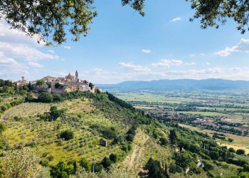A Trevi (PG) l’esposizione dei Ceri dell’Illuminata