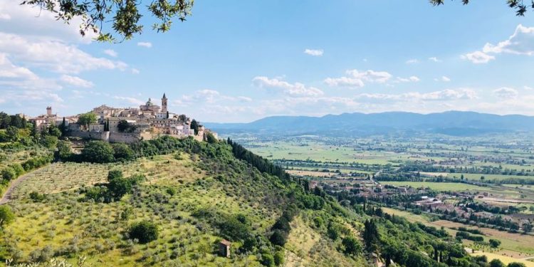 A Trevi (PG) l’esposizione dei Ceri dell’Illuminata