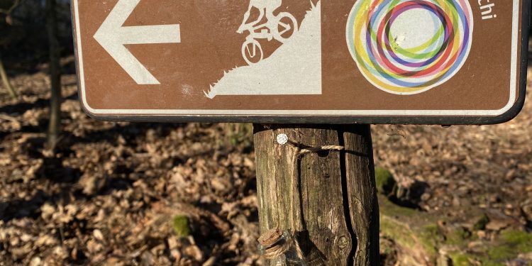 Alla scoperta degli alberi parlanti nel Parco Naturale Boschi di Carrega (PR)