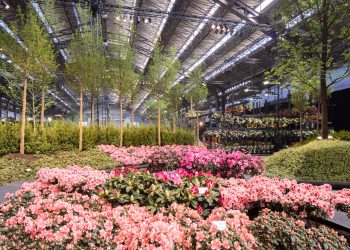 Primavera nelle Fiandre con il festival Floraliën Gent