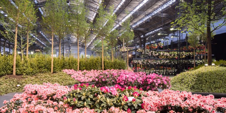 Primavera nelle Fiandre con il festival Floraliën Gent