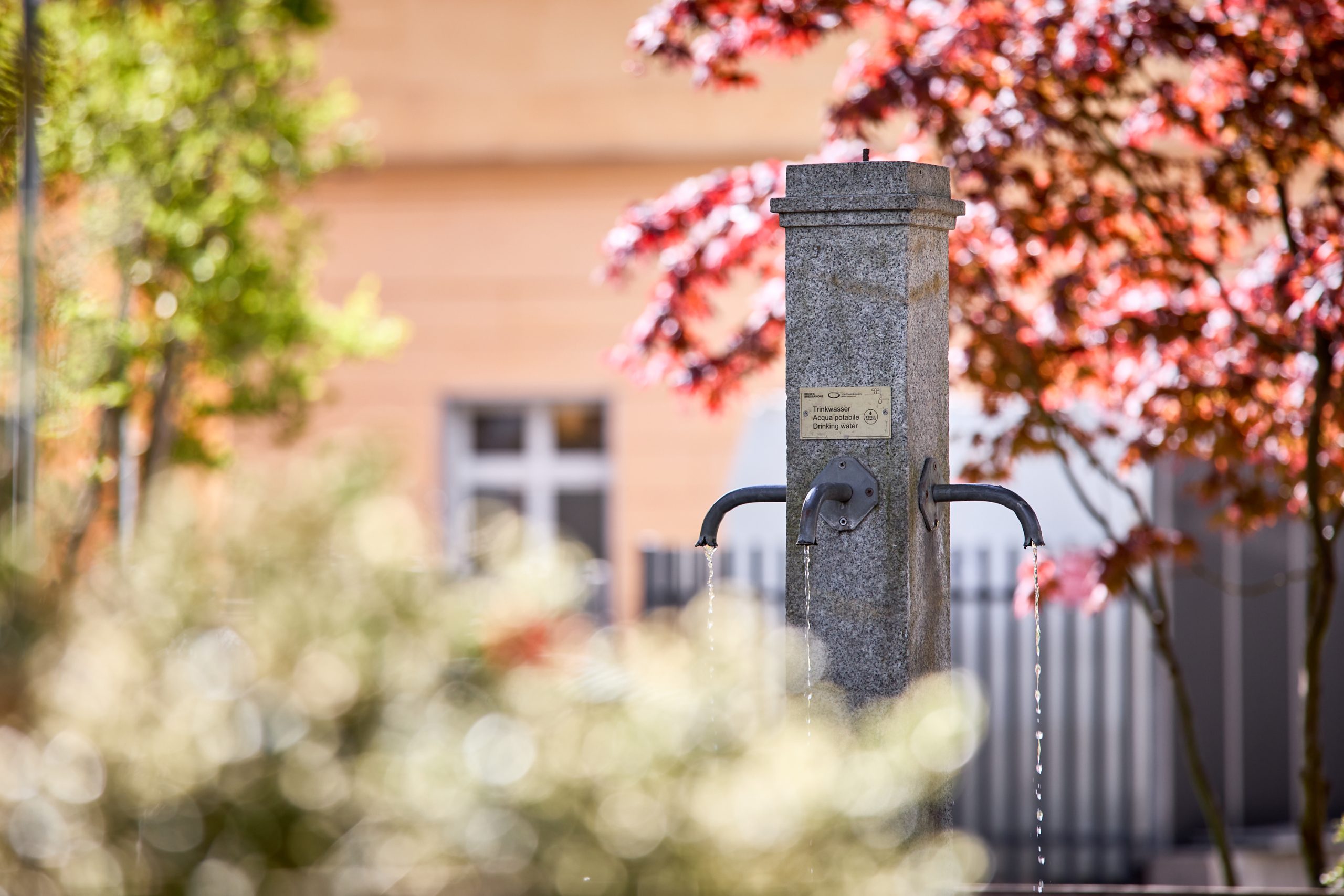 Bressanone festeggia la Giornata Mondiale dell’Acqua in avvicinamento al Water Light Festival