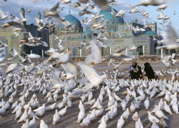 A Riccione inaugurata la grande mostra ‘Steve McCurry Icons’