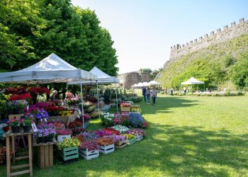 Dall’8 al 10 aprile XIV Edizione di Fiori nella Rocca a Lonato del Garda (BS)