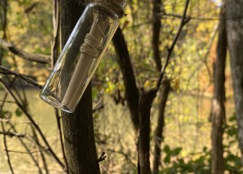 Domenica 24 aprile nei Boschi di Carrega (PR) caccia al tesoro (ecologico)