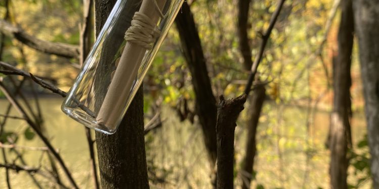 Domenica 24 aprile nei Boschi di Carrega (PR) caccia al tesoro (ecologico)