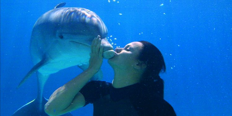 Parchi divertimento, Zoomarine il 14 aprile inaugura la stagione in occasione della Giornata mondiale dei delfini