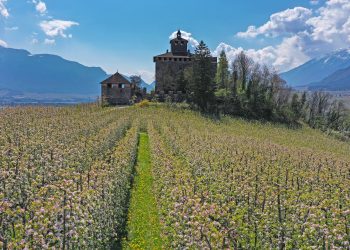 Dall’8 aprile al 2 maggio torna in Val di Non “Aprile dolce fiorire”