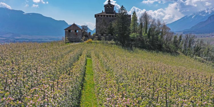 Dall’8 aprile al 2 maggio torna in Val di Non “Aprile dolce fiorire”