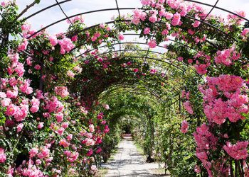 A Nervi (GE) dal 23 aprile all’8 maggio arriva Euroflora