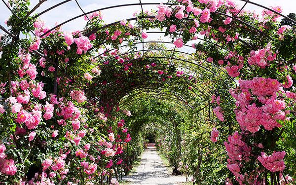 A Nervi (GE) dal 23 aprile all’8 maggio arriva Euroflora