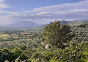 Subasio con Gusto, al via la rassegna delle erbe campagnole e spontanee