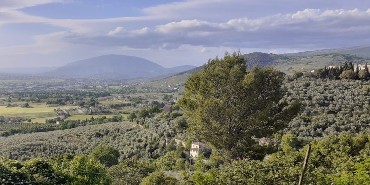 Subasio con Gusto, al via la rassegna delle erbe campagnole e spontanee