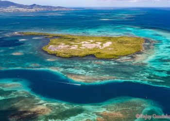 Enjoy Guadalupa – In volo sulle ali di una farfalla