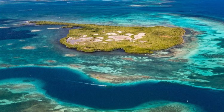 Enjoy Guadalupa – In volo sulle ali di una farfalla