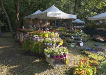 Il 14 e 15 maggio al Castello di Paderna a Pontenure (PC) “I Frutti del Castello”