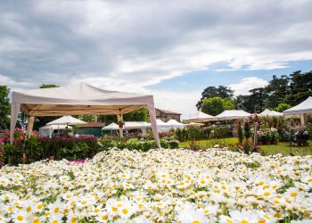 Gli eventi da non perdere nel fine settimana 20-21-22 maggio