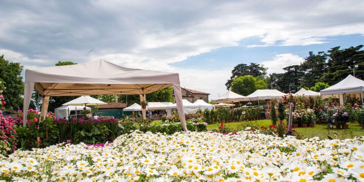 Gli eventi da non perdere nel fine settimana 20-21-22 maggio