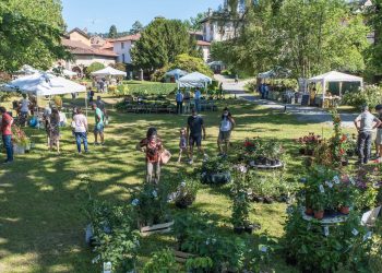 L’11 e12 giugno in Piemonte la decima edizione di Menta e Rosmarino