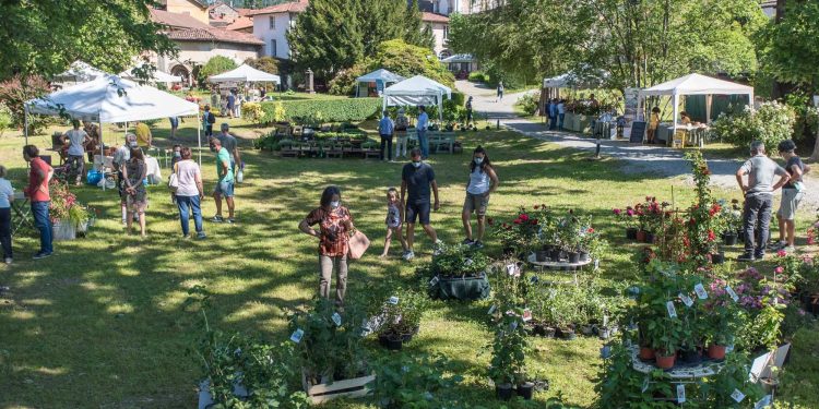 L’11 e12 giugno in Piemonte la decima edizione di Menta e Rosmarino