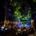 In Puglia al via la seconda edizione della rassegna jazz Green Note in Foresta Umbra