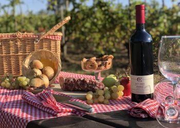 In Emilia per un gustoso pic nic