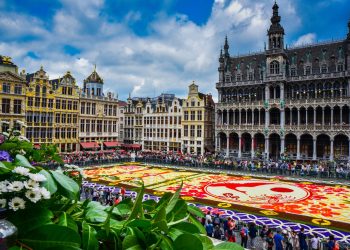 Torna il Tapis de Fleurs: Bruxelles si tinge di mille colori