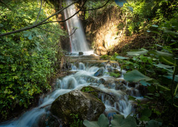 Segni Barocchi Festival a Foligno dal 27 agosto al 10 settembre