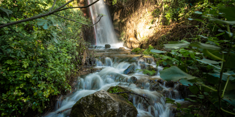 Segni Barocchi Festival a Foligno dal 27 agosto al 10 settembre