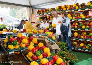 Dal 2 all’11 settembre 2022 a Carmagnola (TO) la Fiera Nazionale del Peperone