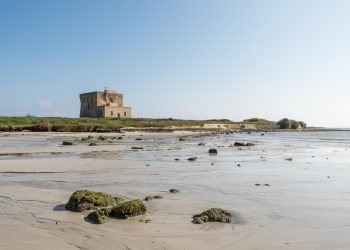 A Torre Guaceto (BR) la tappa pugliese di The Road to Terra Madre dedicata alla rigenerazione degli ecosistemi