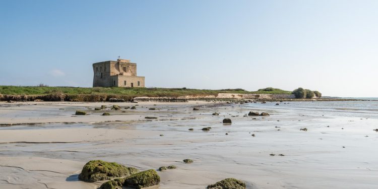 A Torre Guaceto (BR) la tappa pugliese di The Road to Terra Madre dedicata alla rigenerazione degli ecosistemi