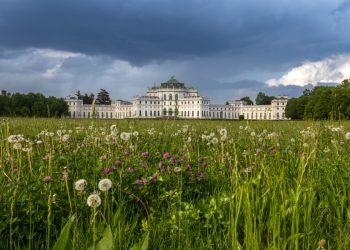 Leggere il Giardino: due passeggiate guidate nel Parco Storico della Palazzina di Caccia di Stupinigi (TO)