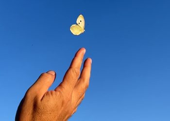 European Extreme Camper Adventure: Eureka! Ce l’hanno fatta, appena in tempo…