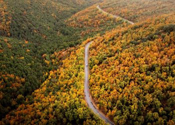 Autunno magico a bordo camper: gli itinerari più suggestivi tra foliage, vigneti e degustazioni