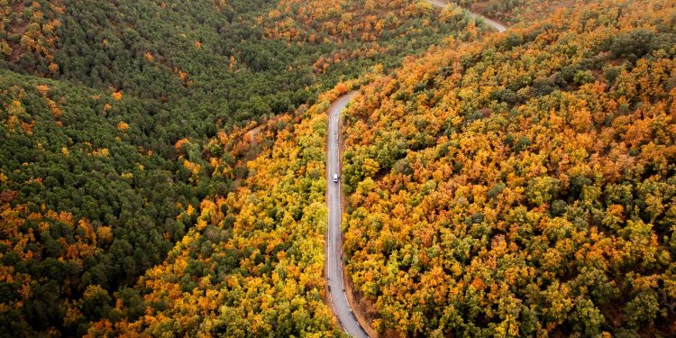 Autunno magico a bordo camper: gli itinerari più suggestivi tra foliage, vigneti e degustazioni