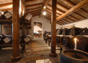 Nuova Convenzione Tessera Turit con l’acetaia La Cà dal Nôn (MO)