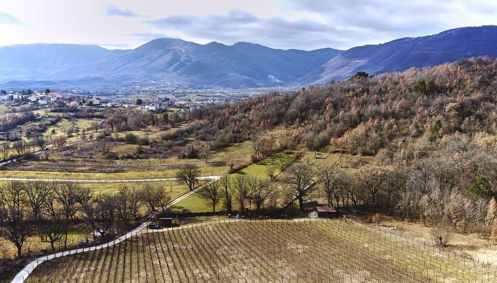 Nuova Convenzione Tessera Turit con l’Azienda Vitivinicola Castelsimoni (AQ)
