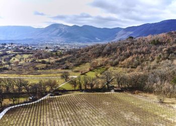 Nuova Convenzione Tessera Turit con l’Azienda Vitivinicola Castelsimoni (AQ)