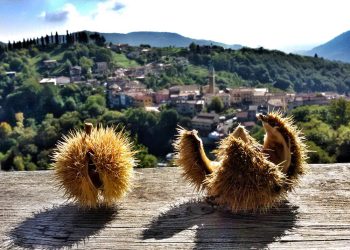 A Combai (TV) tutto pronto per la 78esima Festa dei Marroni