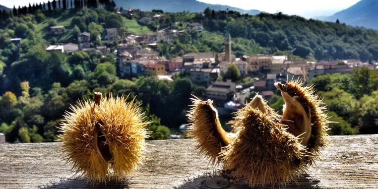 A Combai (TV) tutto pronto per la 78esima Festa dei Marroni