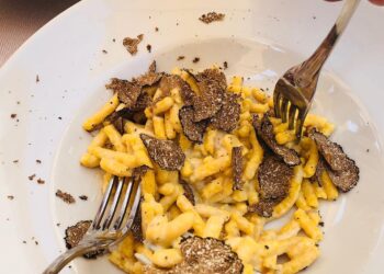 “Tartufo tutto l’anno nelle Marche”: da lunedì 14 il via a una rassegna gastronomica annuale