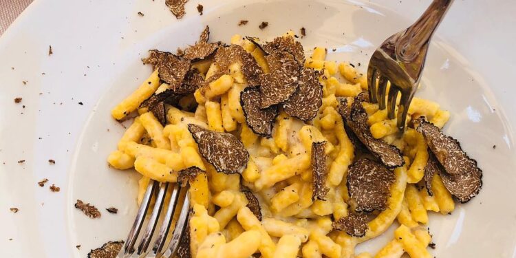 “Tartufo tutto l’anno nelle Marche”: da lunedì 14 il via a una rassegna gastronomica annuale
