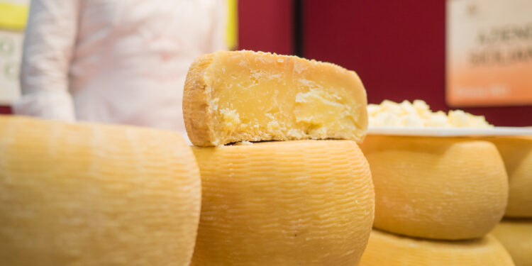 Dal 26 al 28 novembre a Cremona “BonTà”, un viaggio tra i sapori del Belpaese