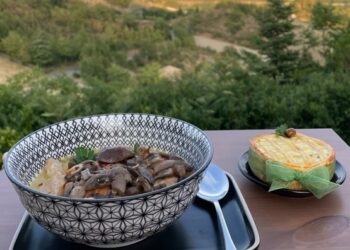 Nelle Marche sabato 26 novembre la festa “Cagli, Terre del fungo”