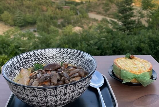 Nelle Marche sabato 26 novembre la festa “Cagli, Terre del fungo”