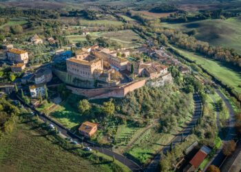 Due weekend di gusto per scoprire il Tartufo Bianco delle Crete Senesi