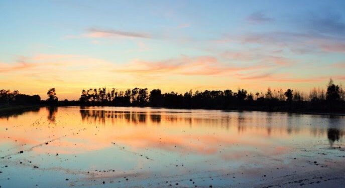 “Le Isole del Gusto”: dal 23 al 31 dicembre in Sardegna riso e vino sulla bocca di tutti